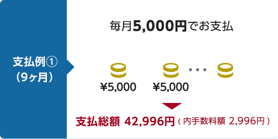 �x����1�i9�����j ����5,000�~�ł��x��&rarr;�x�����z 42,996�~�i���萔���z 2,996�~�j