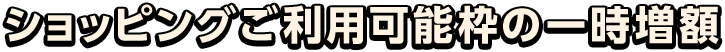 �V���b�s���O�����p�\�g�̈ꎞ���z