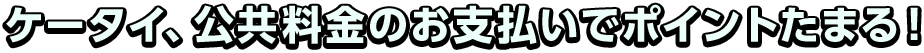 �P�[�^�C�A���������̂��x�����Ń|�C���g���܂�I