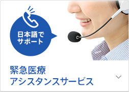 �ً}��ÃA�V�X�^���X�T�[�r�X