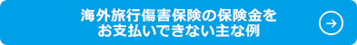 �C�O���s���Q�ی��̕ی��������x�����ł��Ȃ���ȗ�