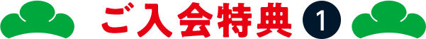 ��������T1