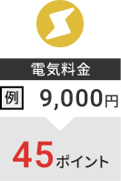 �d�C���� ��F9,000�~��45�|�C���g