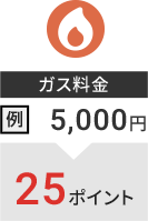�K�X���� ��F5,000�~��25�|�C���g